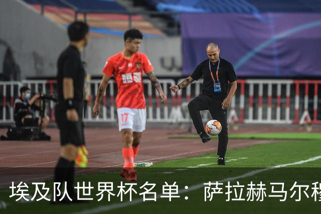 埃及队世界杯名单：萨拉赫马尔穆什领衔 首战踢比利时
