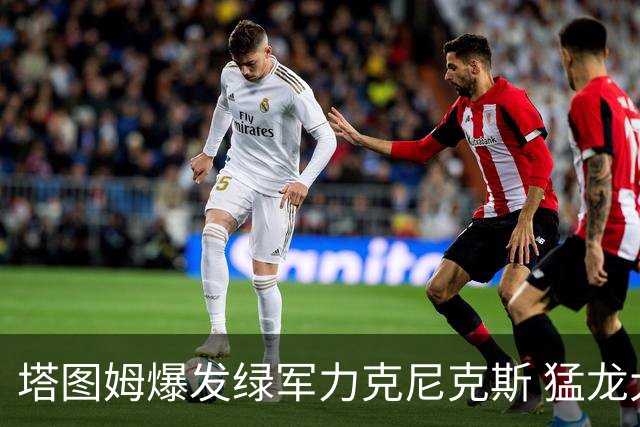 塔图姆爆发绿军力克尼克斯 猛龙大逆转胜奇才