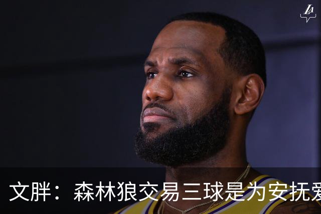 文胖：森林狼交易三球是为安抚爱德华兹 他一赛季被包夹近1000次
