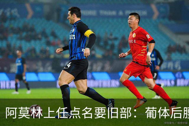阿莫林上任点名要旧部：葡体后腰卖4500万，曼联放弃之人想转会