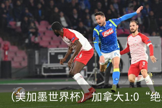 （美加墨世界杯）加拿大1:0“绝杀”南非 队史首进16强